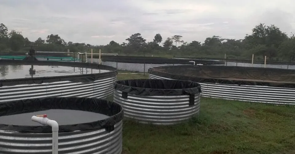 Almacenamiento de agua para industrias: continuidad operativa