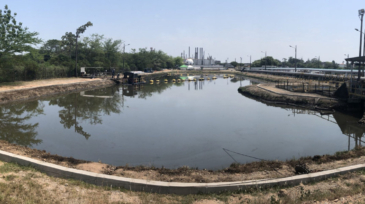 geomembranas en sistemas de deshidratación de lodos