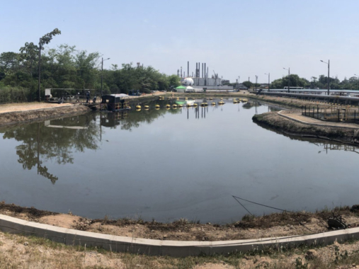 geomembranas en sistemas de deshidratación de lodos