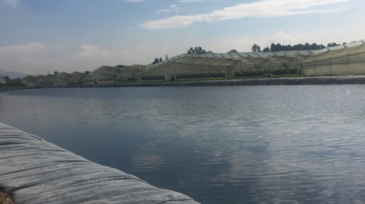 aplicaciones de geomembranas en cultivos de flores