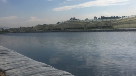 aplicaciones de geomembranas en cultivos de flores