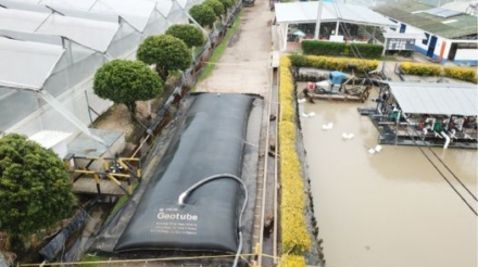 retiro confinamiento y deshidratación de los lodos