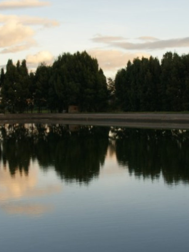 sistemas de deshidratación de lodos con geomembranas y geotextiles