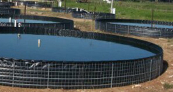 tanques acuícolas en geomembranas